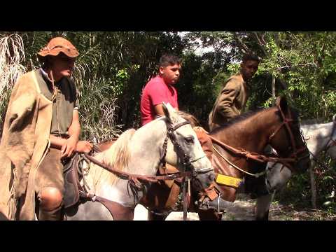 7ª Carreira do boi Bob Esponja, Passa Tempo Coivaras-PI#boinamoita