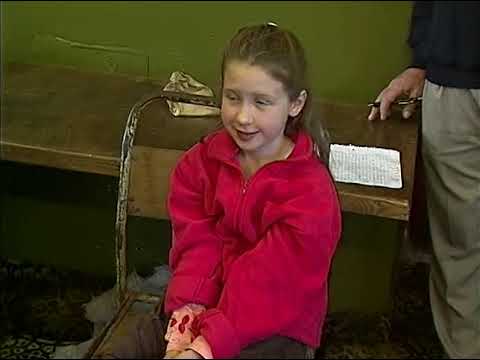 Local Music/Song/Story, Part 1. LTV