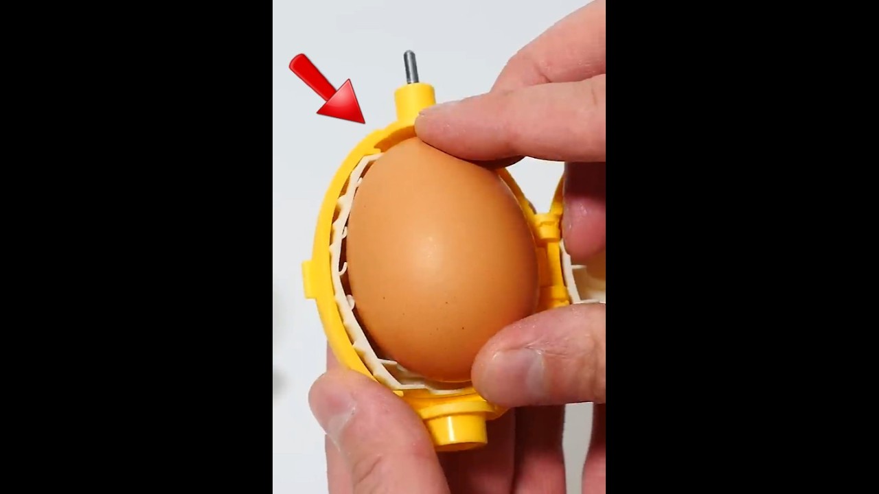 Wait For It - Egg Kitchen Gadget