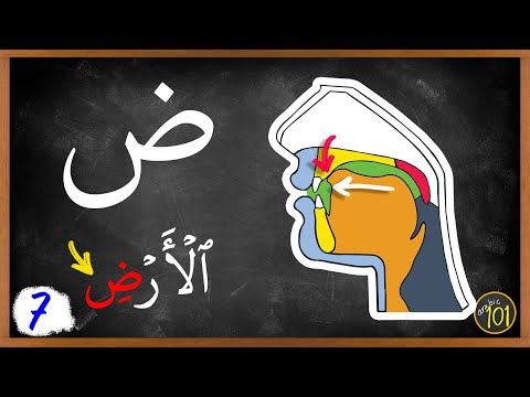 With THIS method, ANYONE can master ض | Makharij & Sifaat Lesson 7 | Arabic101