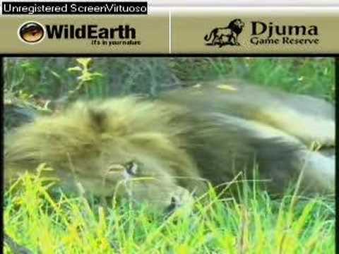 Sunset drive 110907-5