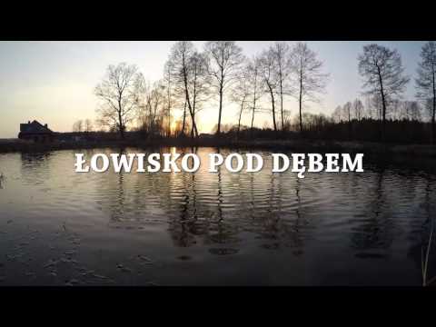 Łowisko Pod Dębem