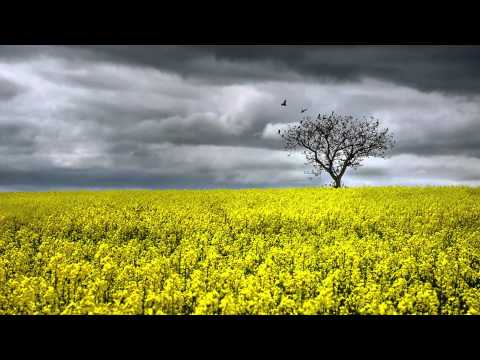 In my dreams Robert Miles HD（1080p）