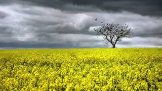 In my dreams Robert Miles HD（1080p）