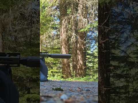 Huxwrx Range 36TI on PWS mk11 556