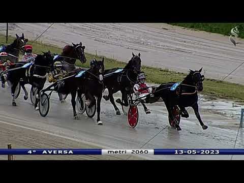 Aversa trotto 13 Maggio 2023 - 4° Corsa