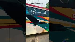 Download lagu GARUDA MAS PREMIUM PALING WAJIB DI COBA❗️PONOROGO - JAKARTA #garudamas #bus #shorts mp3 Download lagu GARUDA MAS PREMIUM PALING WAJIB DI COBA❗️PONOROGO - JAKARTA #garudamas #bus #shorts mp3