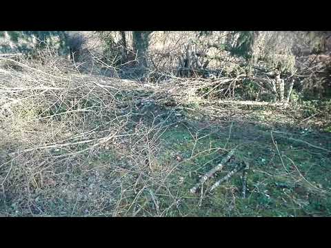 La vie , en terre de Bourgogne, ou REVIVRE......OUI, MAIS TOUJOURS MDR ! @+