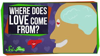 Where Does Love Come From?