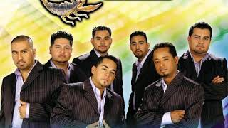 Mazizo Musical -Donde estas