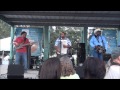 Geno Delafose Plays Bee de la Manche