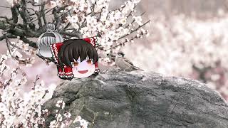 源氏物語　葵