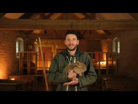 VidÃ©o du sÃ©jour