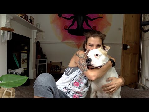 Day 63 - Gentle Stretchy Yoga