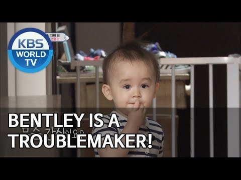 Bentley is a troublemaker! [The Return of Superman/2019.05.26]