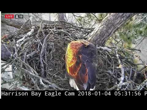 2018 0104 515 615 pm