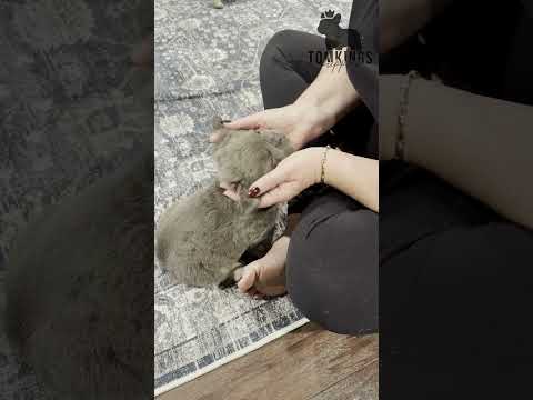 Video 2