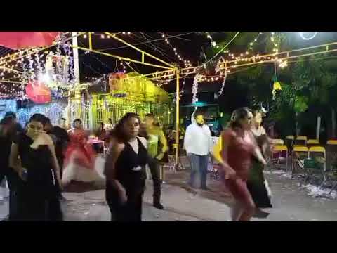 Bosc Banda Orquesta Santa | En Vivo | Magdalena Tlacotepec, Oaxaca | Part. 2