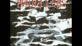The Phantom Limbs - Castanets Cooke