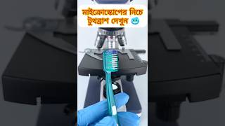 Download lagu Toothbrush under the microscope 🔬🥶 #shorts mp3