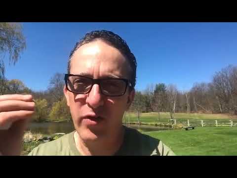 video 1
