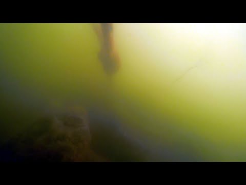 Did I Find Human Remains? Police Notified - Underwater Magnet Fishing Footage !!WARNING!!