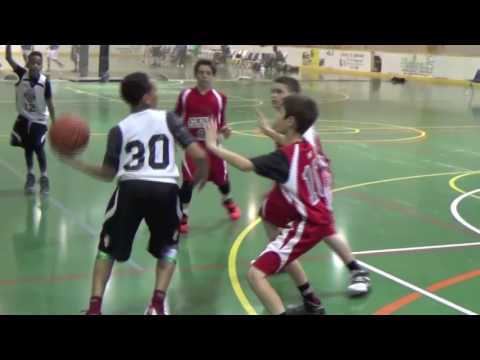 BSA Elite vs CTS Diamond in the Rough 2016