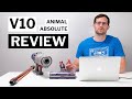 Dyson V10 Review Absolute Animal