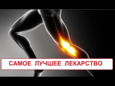 Хондропротекторы для лечения суставов у собак Что такое доа коленных суставов 2 степени
