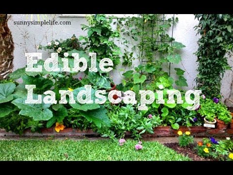 Edible Landscaping, Polycultures And Guilds, Guerilla Gardening