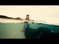 The biggest stingrays in the ocean at Hamelin Bay - Episode 2