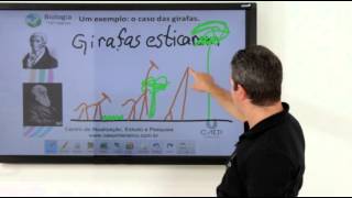 Dicas para o ENEM - Biologia - Evolução