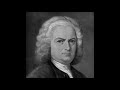 Johann Sebastian Bach - Concerto for Two Violins in D Minor, BWV 1043: I. Vivace (Remastered)
