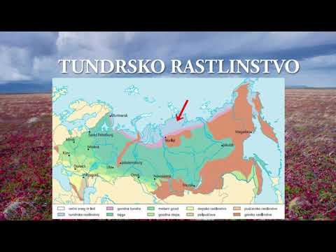 Podnebje in rastlinstvo ter vodovje Vzhodne Evrope in Severne Azije