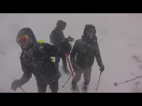 6 Króli... Rysiek to przewidział !