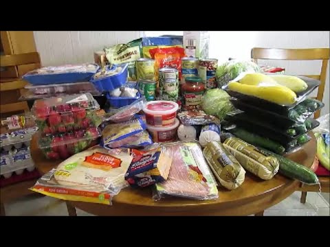 Huge Haul (Aldi's, Dollar General & Walmart)