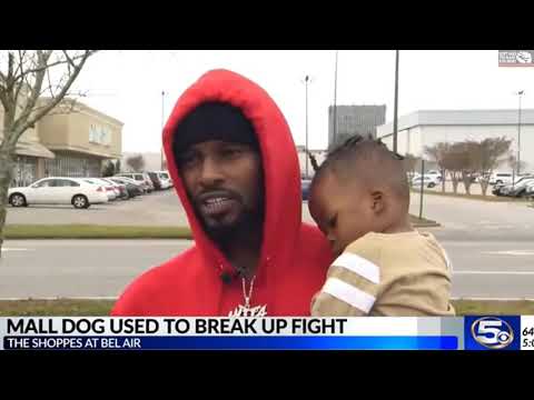 download lagu mp3 mp4 Kwanzaa Dog, download lagu Kwanzaa Dog gratis, unduh video klip Kwanzaa Dog