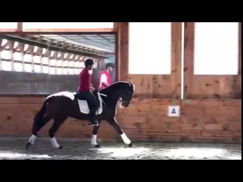 Sons of the Wind Presents Juiz Seven *SOLD*