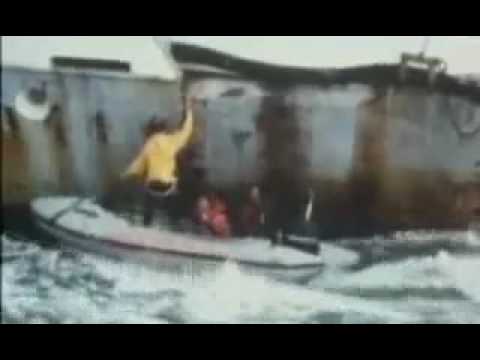 Greenpeace - New Radicals (You only get what you give)