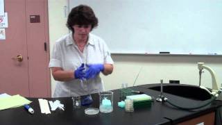 Bacterial Transformation Part 1