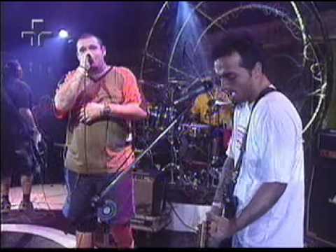 O Surto-tudo é possível