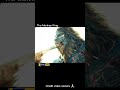 The Monkey King Movie Explained In Hindi Hollywood Movie Shorts Movie Pluspick