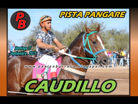 CAUDILLO: PISTA PANGARE - CRUZ DEL EJE (17-09-2023)