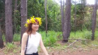 kirirom hillside resort | Kirirom resort | What to see in cambodia | cambodia tourism