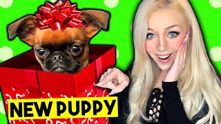 I GOT A PUPPY FOR CHRISTMAS!! Meeting my Puppy for the First Time EVER! (*CUTE*)