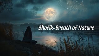 Relaxing Music For Stress Relief🍀 Positive energy 🍀 Shofik-Ambient Bliss