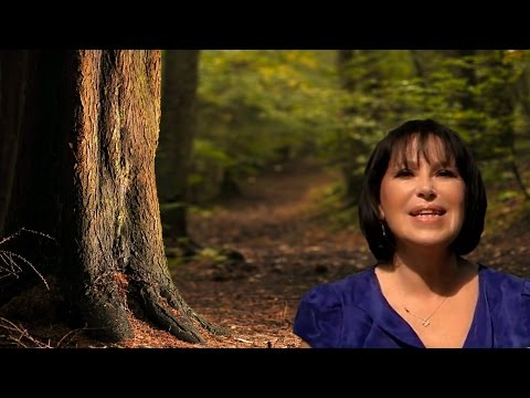 Wood sculptures (Hout sculptures) INESSA GALANTE "Un bel di vedremo" Madam(a) Butterfly Puccini