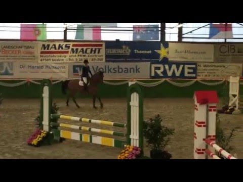 SA Stables "Cosimo" 5j by Canoso/Diamant de Semilly Keppeln1