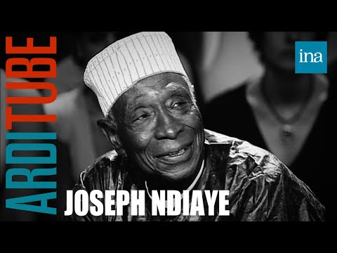 Boubacar Joseph Ndiaye: Colonization and Slavery in Thierry Ardisson | INA Arditube