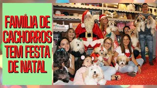 Famlia de cachorros tem festa de NATAL - COFRATENIZAO -